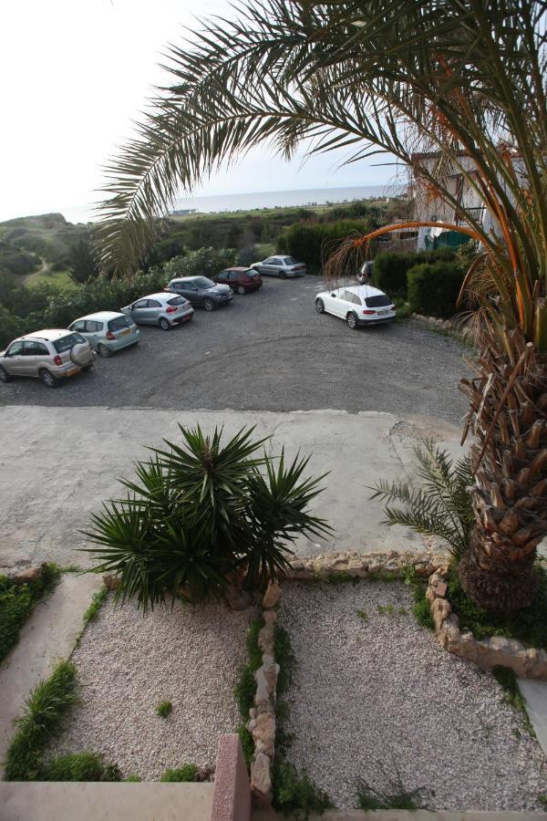 Ariadne Apt 103 -300M From Lighthouse Beach 파포스 외부 사진